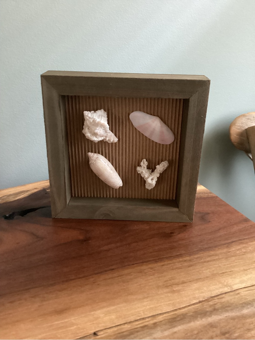 Neutral Color Shell Shadow Box Art - Home Accents - Picture 2 of 4